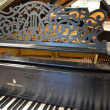 1899 One of a kind Steinway Concert Grand - Grand Pianos